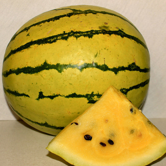 Early Moonbeam Watermelon Seed, Organic
