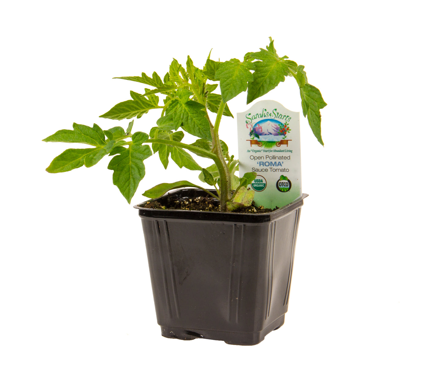 Roma Tomato, Organic