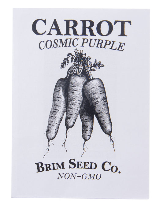 Carrot, Cosmic Purple Seed