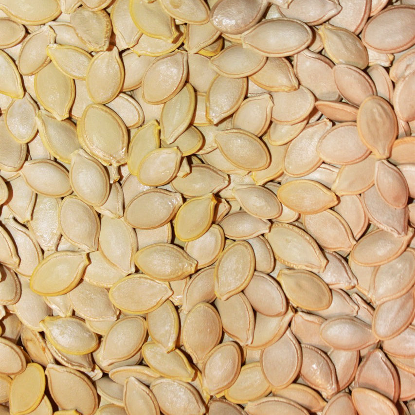 Dark Star Zucchini Seed, Organic