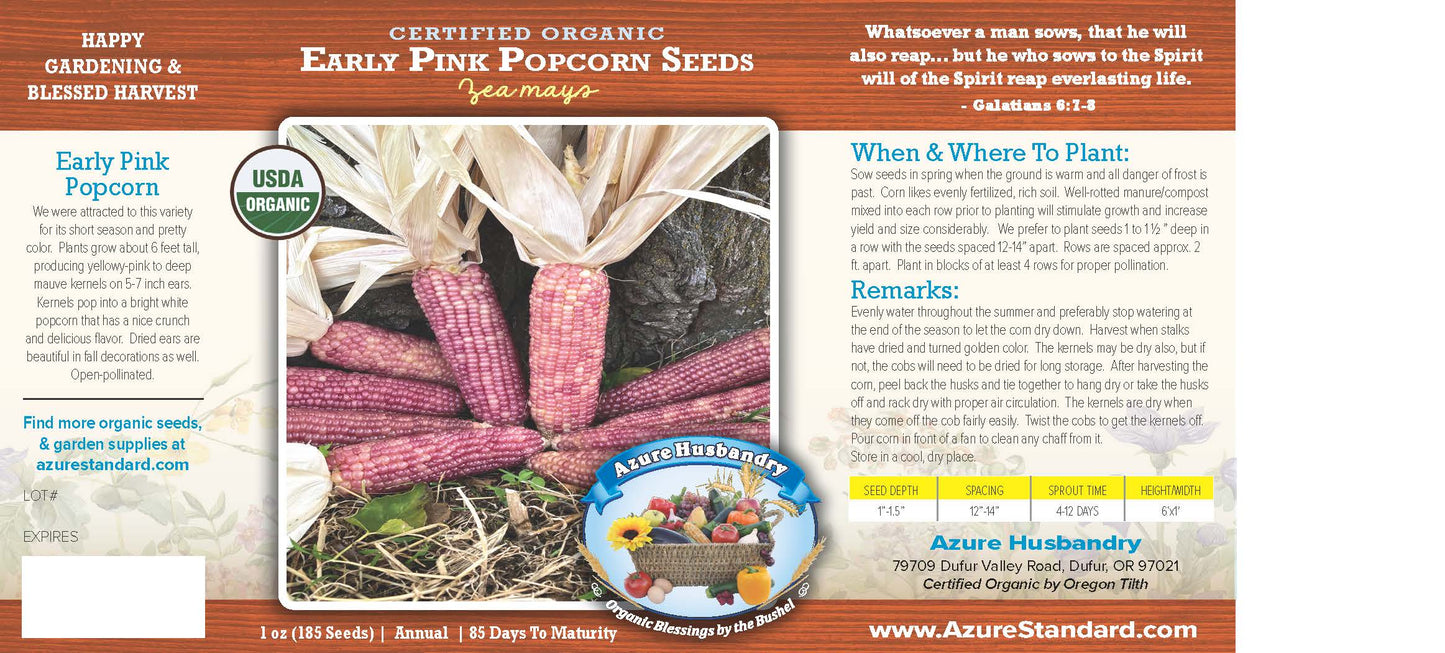 Early Pink Popcorn Seed, Organic