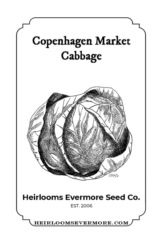 Copenhagen Market Cabbage