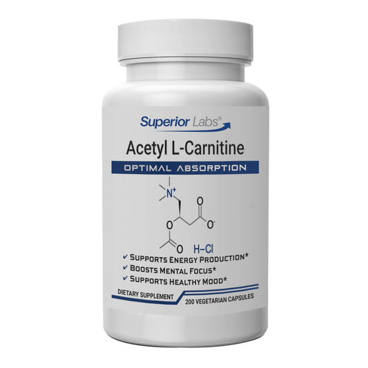 Acetyl L-Carnitine