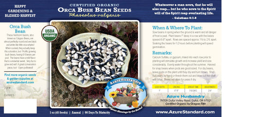 Orca Bush Bean Seed, Organic