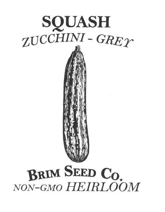 Squash, Zucchini, Grey, Heirloom Seed