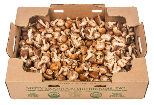 Mushrooms, Shiitake, Organic