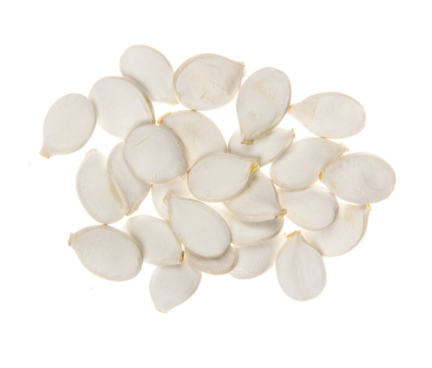 Sweet Meat Squash Seed, Organic