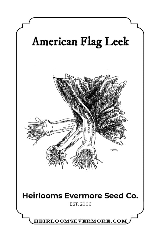 American Flag Leek Seeds