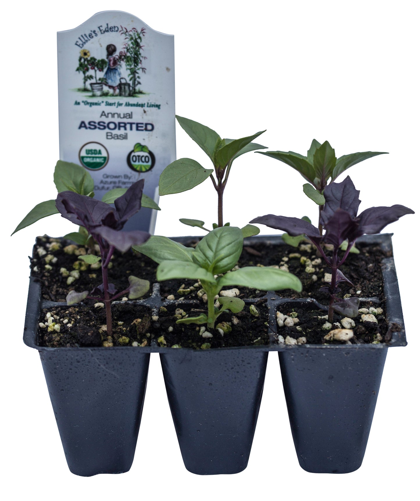 Basil Mixed Pack, Organic