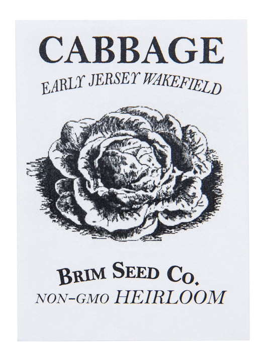 Cabbage, Early Jersey Wakefield Heirloom Seed