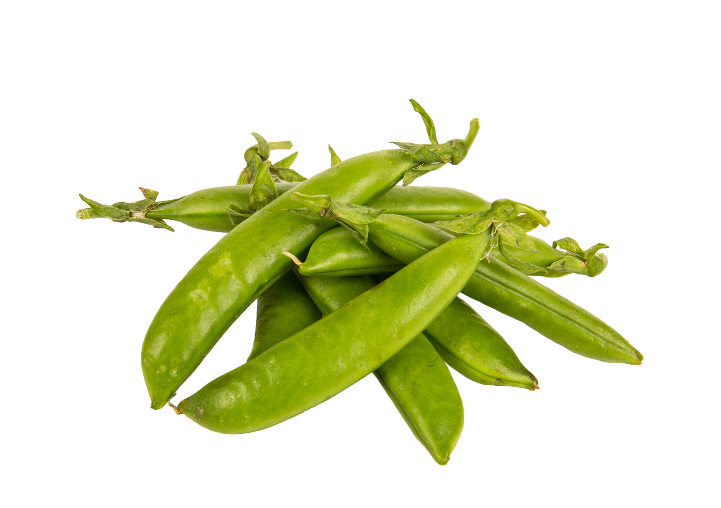Sugar Snap Pea, Organic