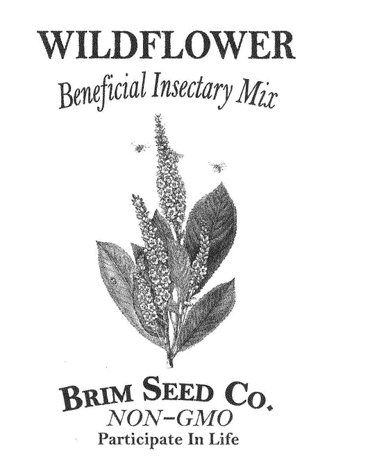 Flower, Wildflower, Beneficial Insectary Mix
