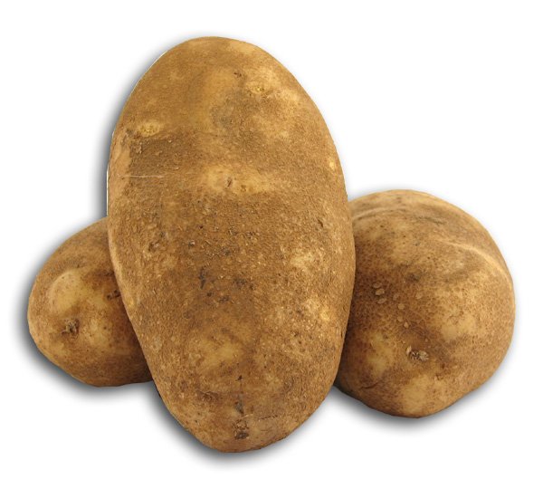 Potatoes, Russet, Organic