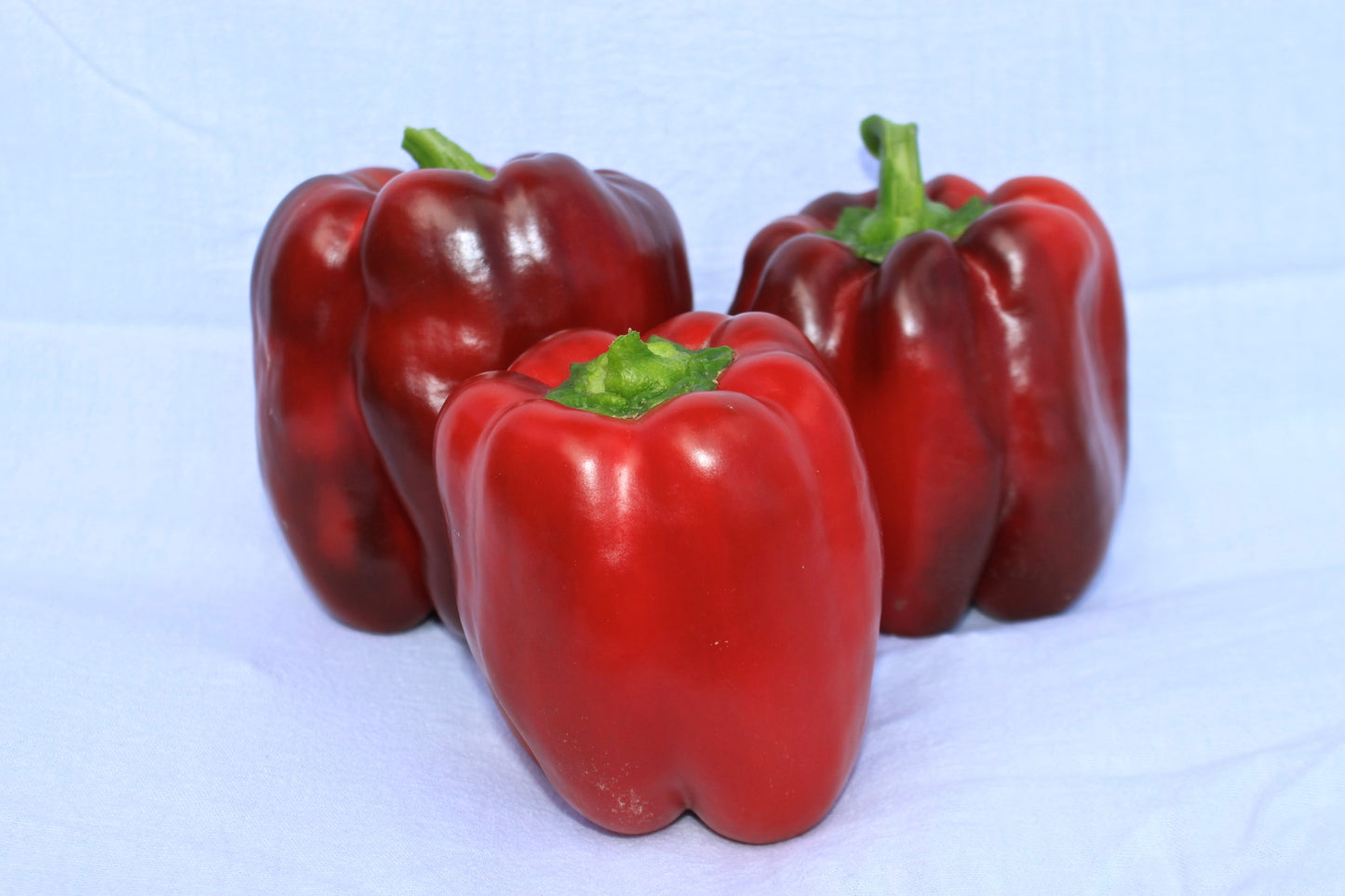 Ruby King Pepper Seed, Organic