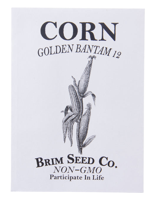 Corn, Golden Bantam 12 Seed