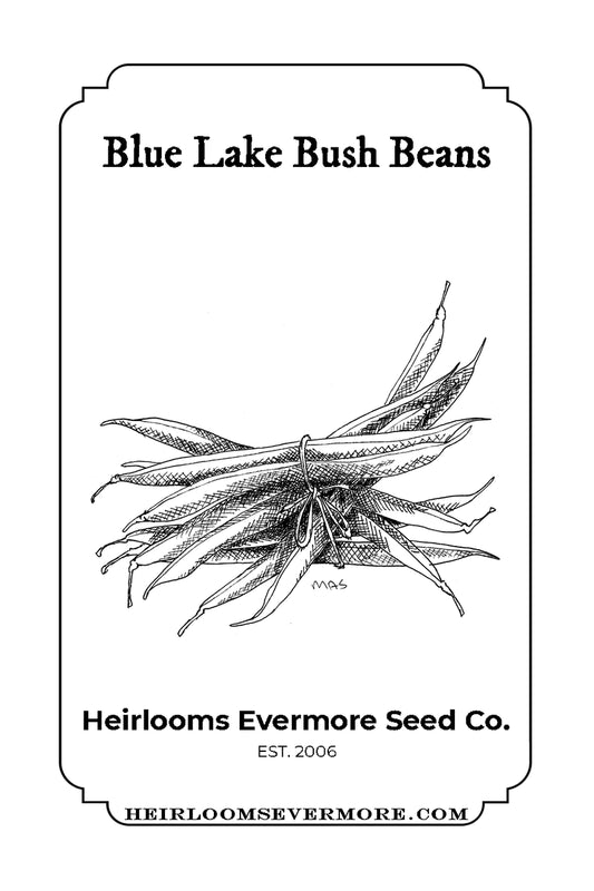 Blue Lake Bush Bean Seeds