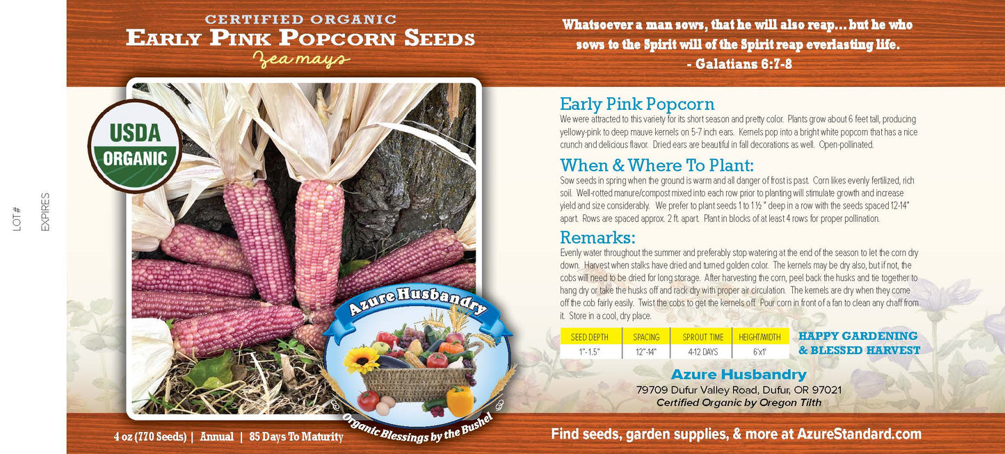 Early Pink Popcorn Seed, Organic