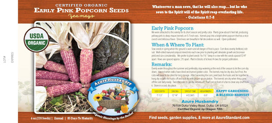 Early Pink Popcorn Seed, Organic