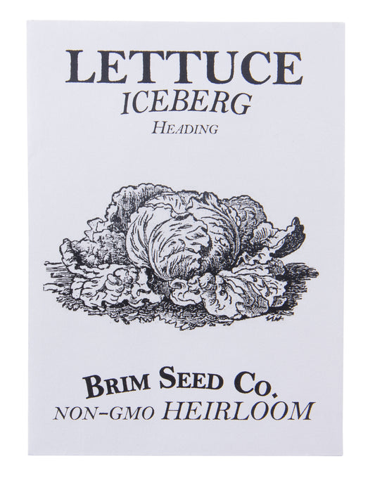 Lettuce, Iceberg, Heading Heirloom Seed