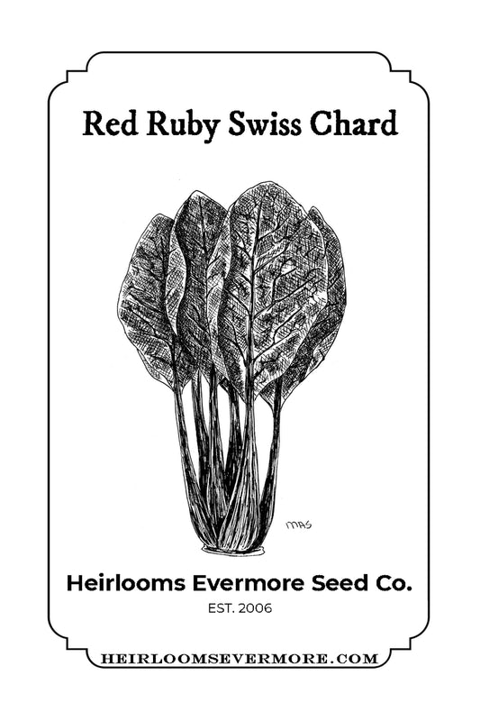 Red Ruby Swiss Chard