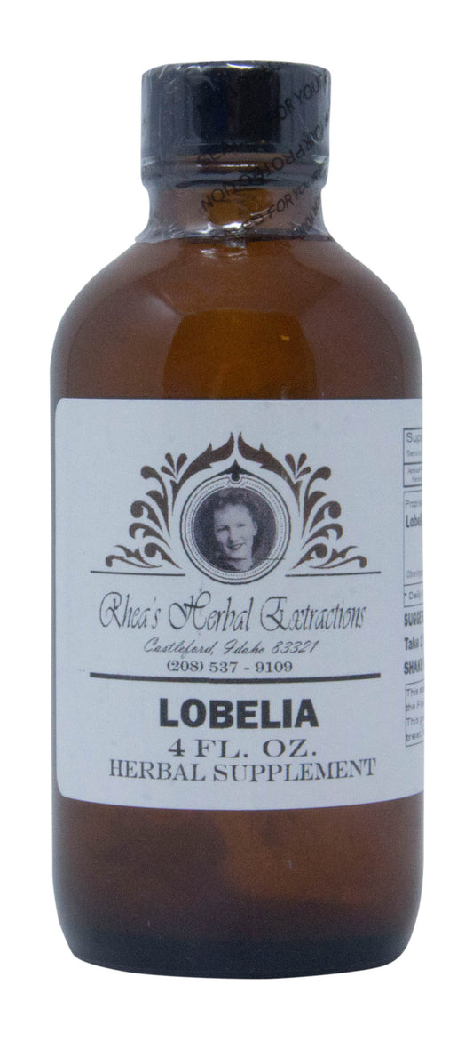 Lobelia
