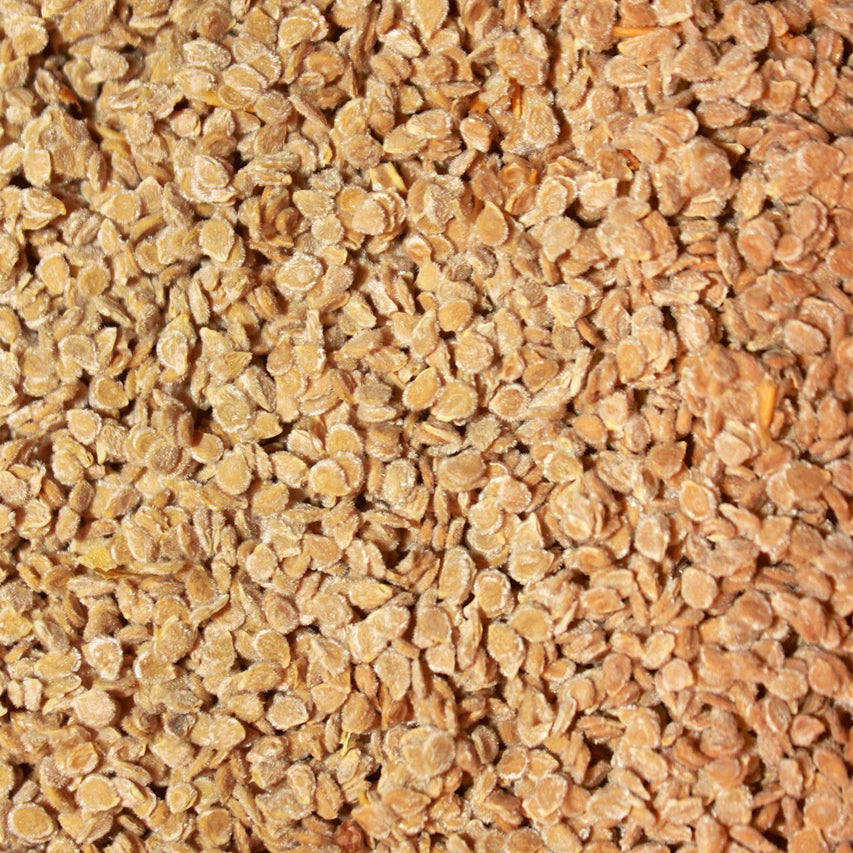 Granny Cantrell German Tomato Seed, Organic