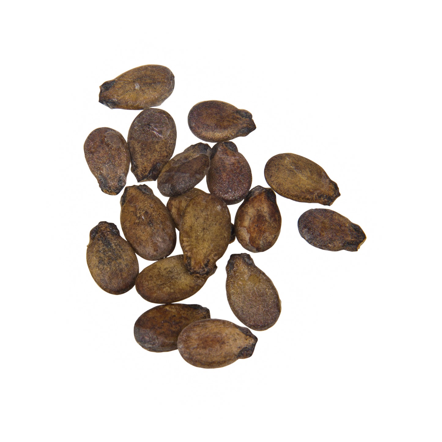 Sugar Baby Watermelon Seed, Organic