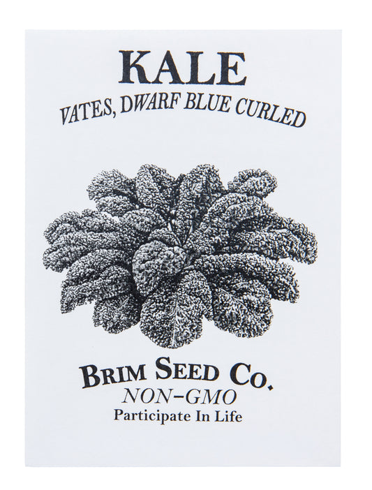 Kale, Vates Dwarf Blue Curled Seed