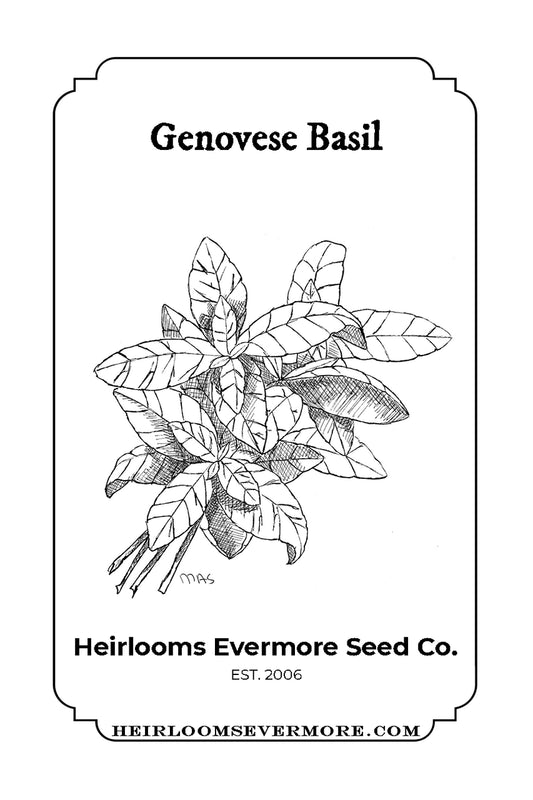 Genovese Basil Seeds