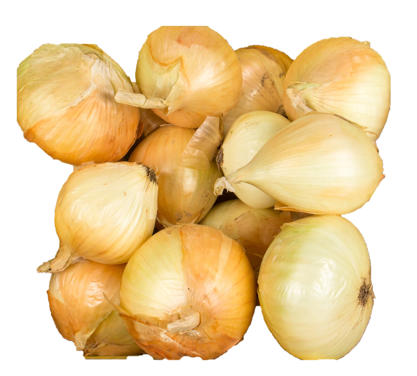 Onions, Sweet, Organic