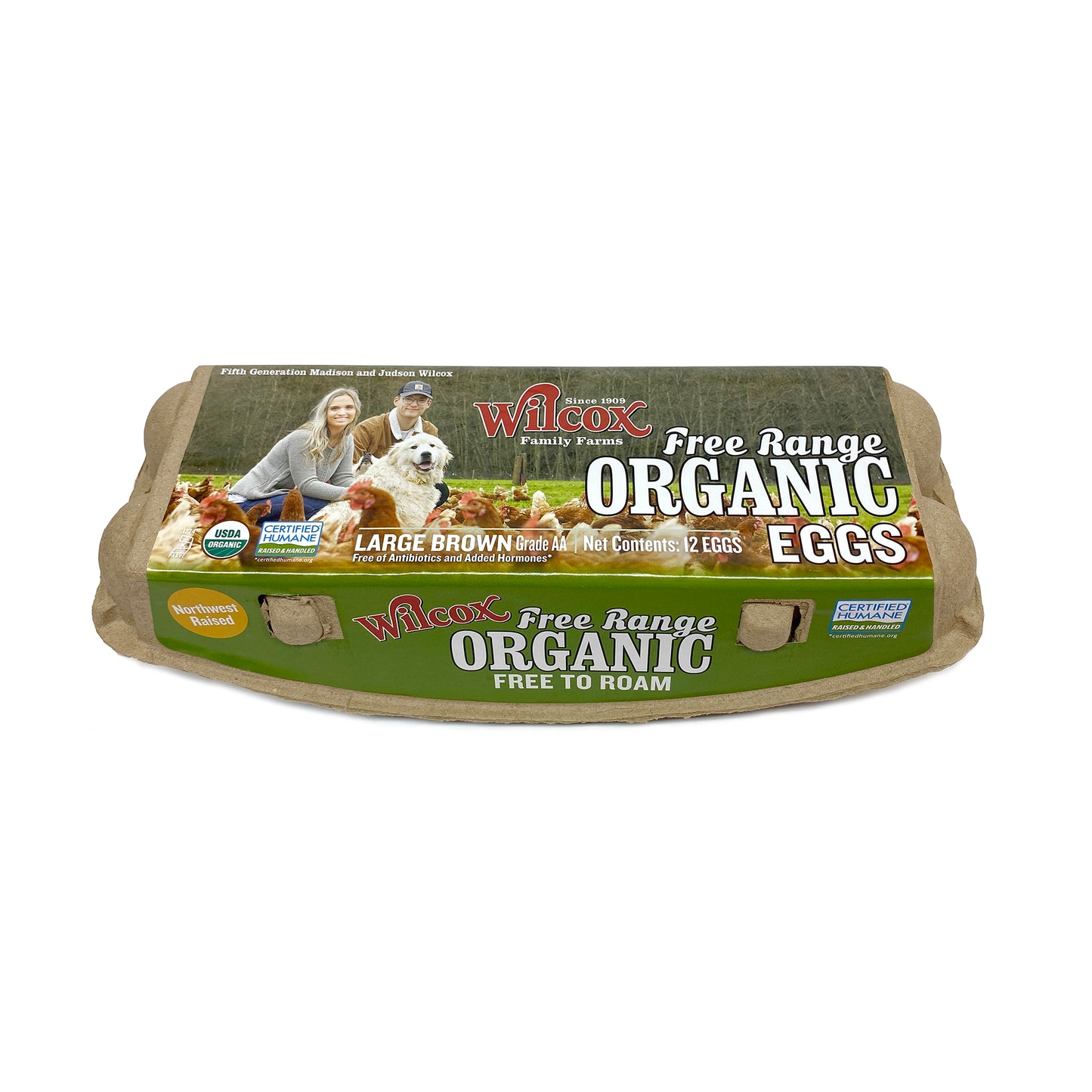 Eggs, Free Range, Large Brown, Organic