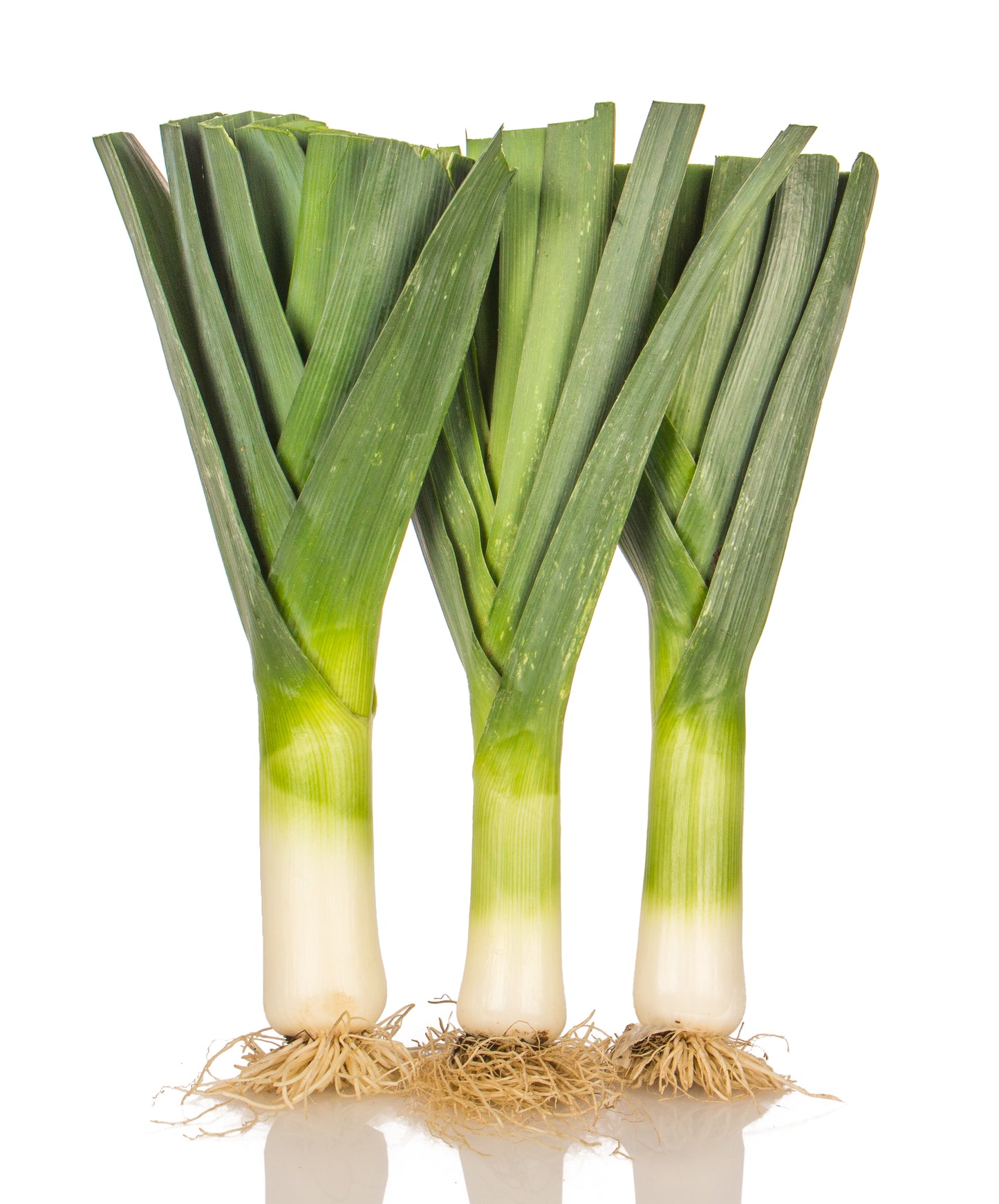 Leeks, Organic