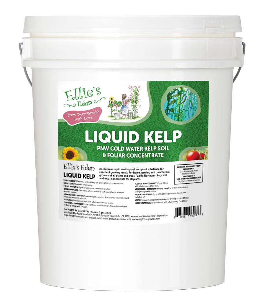 Liquid Kelp