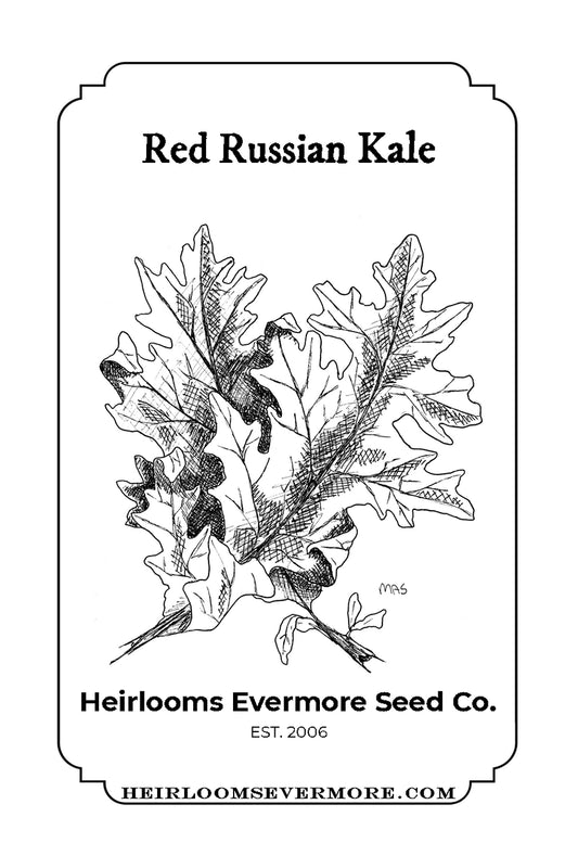 Red Russian Kale Seeds