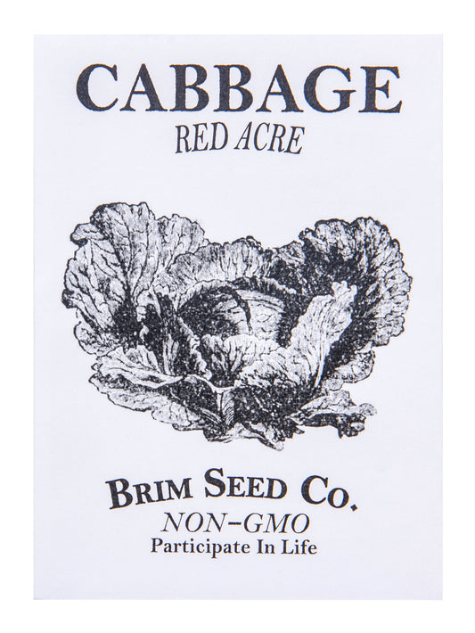 Cabbage, Red Acre Seed