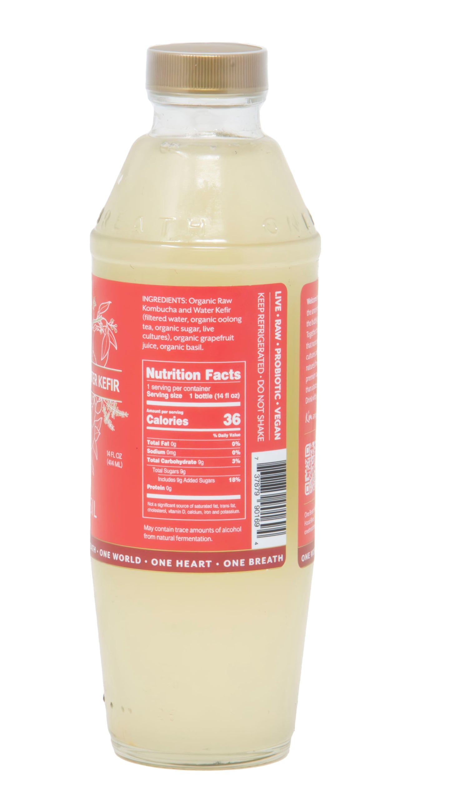 Kombucha & Kefir Water, Grapefruit & Basil, Raw