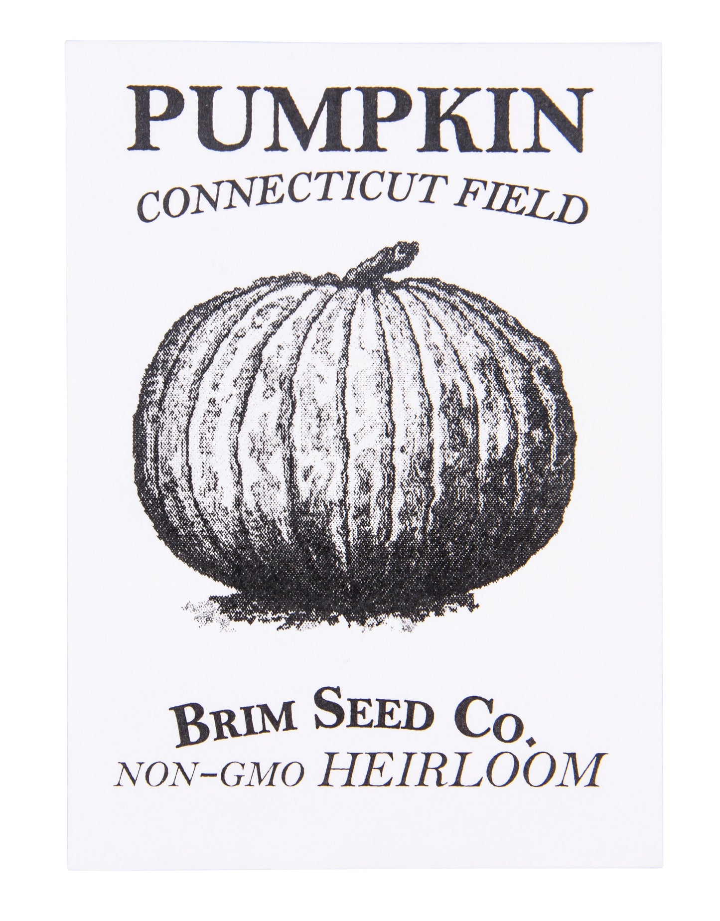 Pumpkin, Connecticut Field Heirloom Seed