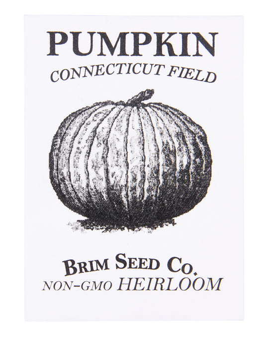 Pumpkin, Connecticut Field Heirloom Seed