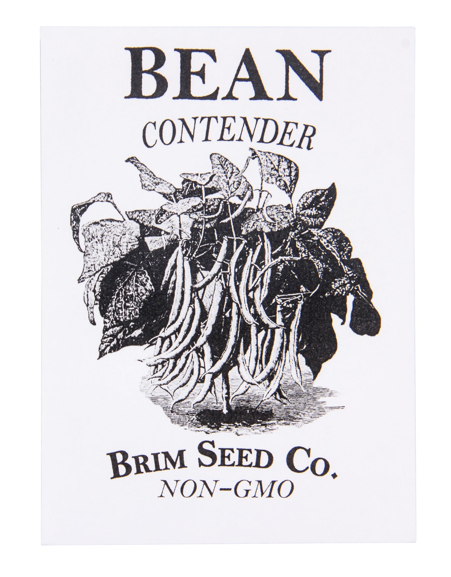 Bean, Contender Bush Seed