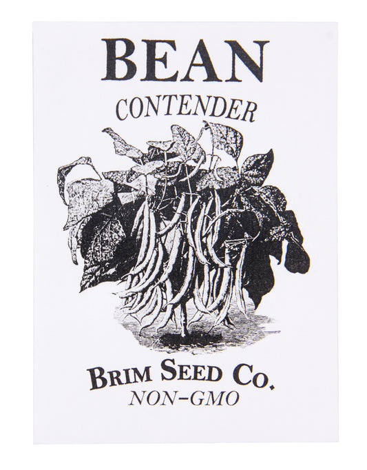 Bean, Contender Bush Seed