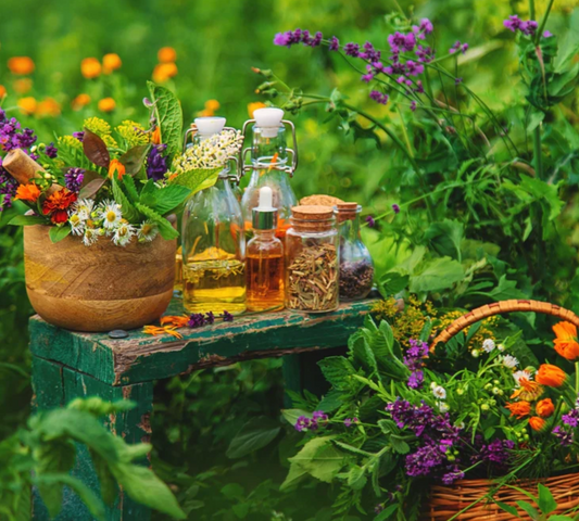 Medicinal Herb Variety, Organic