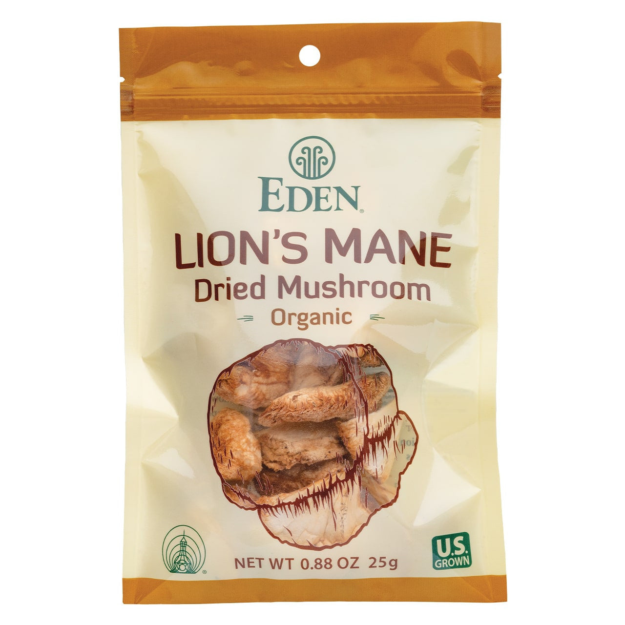 Lion's Mane Mushrooms, Dried, Organic