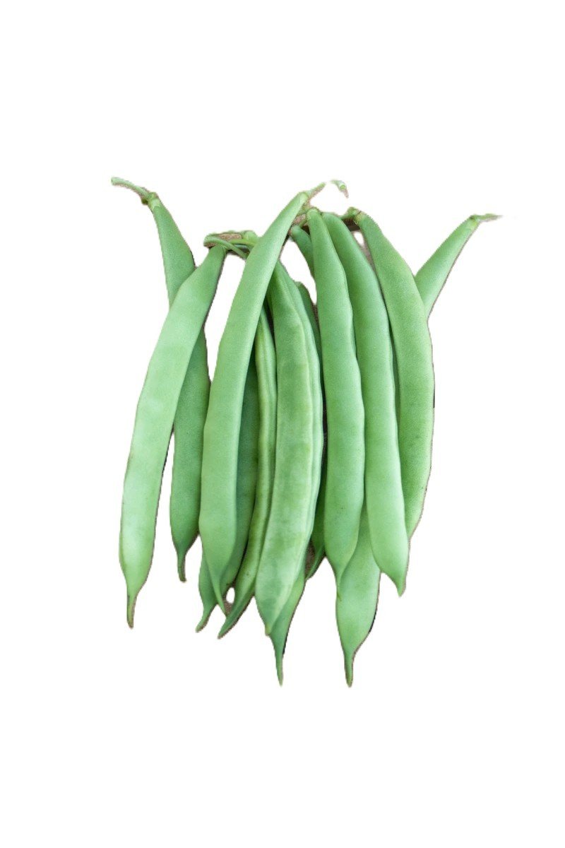 Romano Beans, Organic