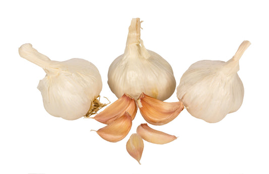 Garlic, Organic