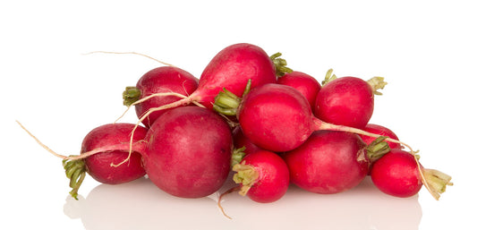 Radish Red,  Organic