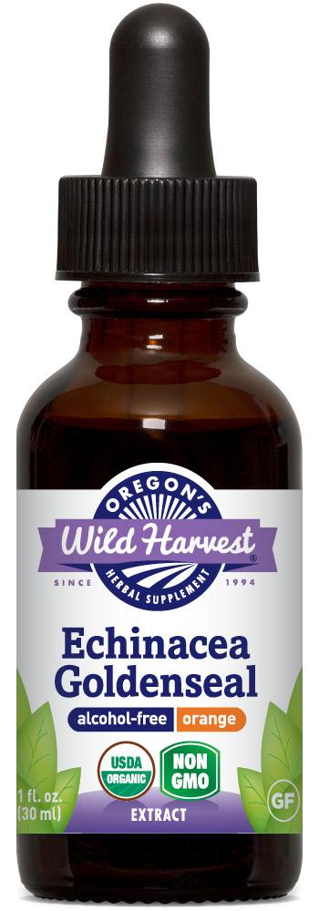 Echinacea Goldenseal Extract, Alcohol Free, Orange, Organic