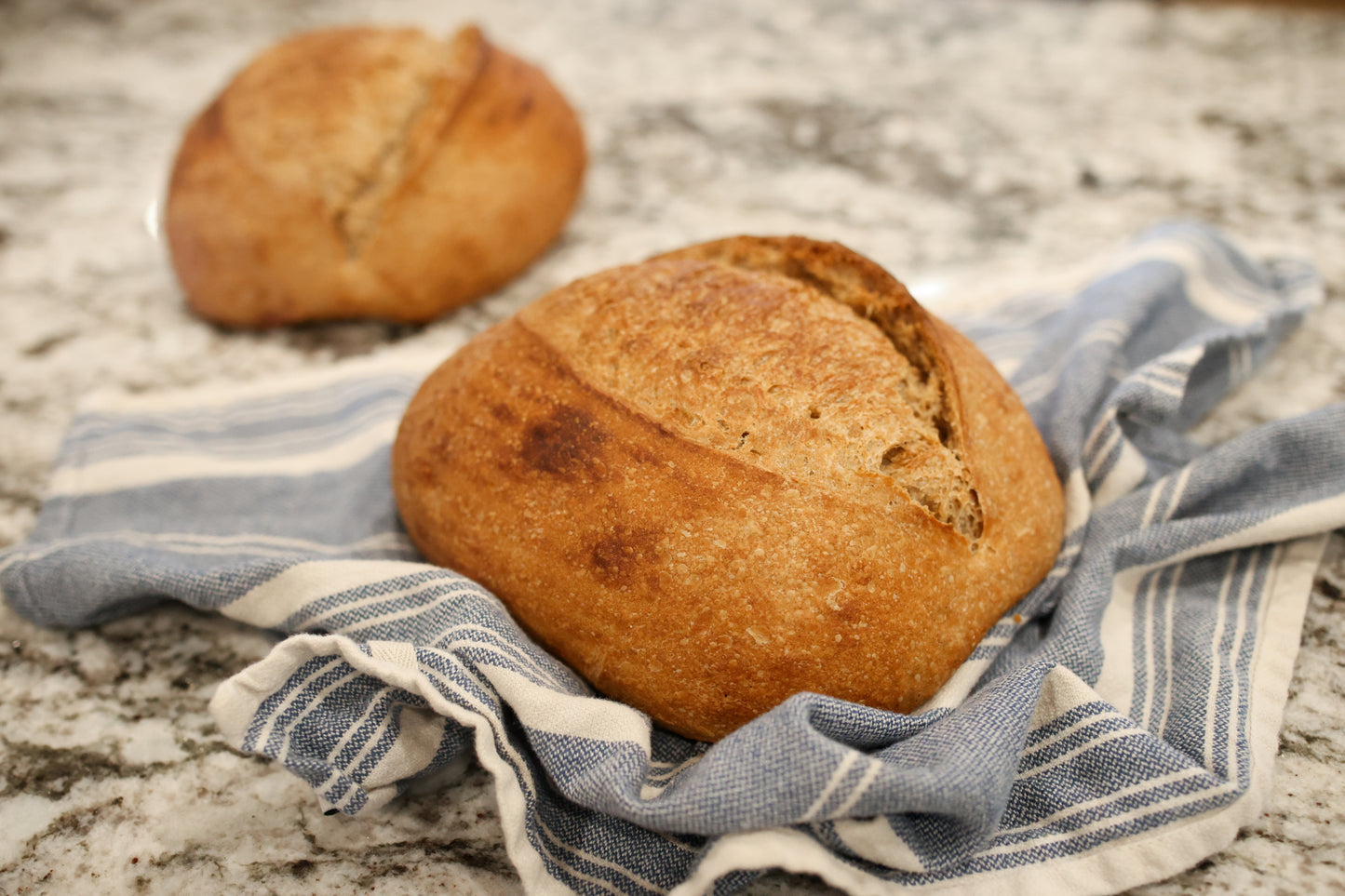 Whole Wheat Sourdough Bread, Sliced, Frozen, Organic