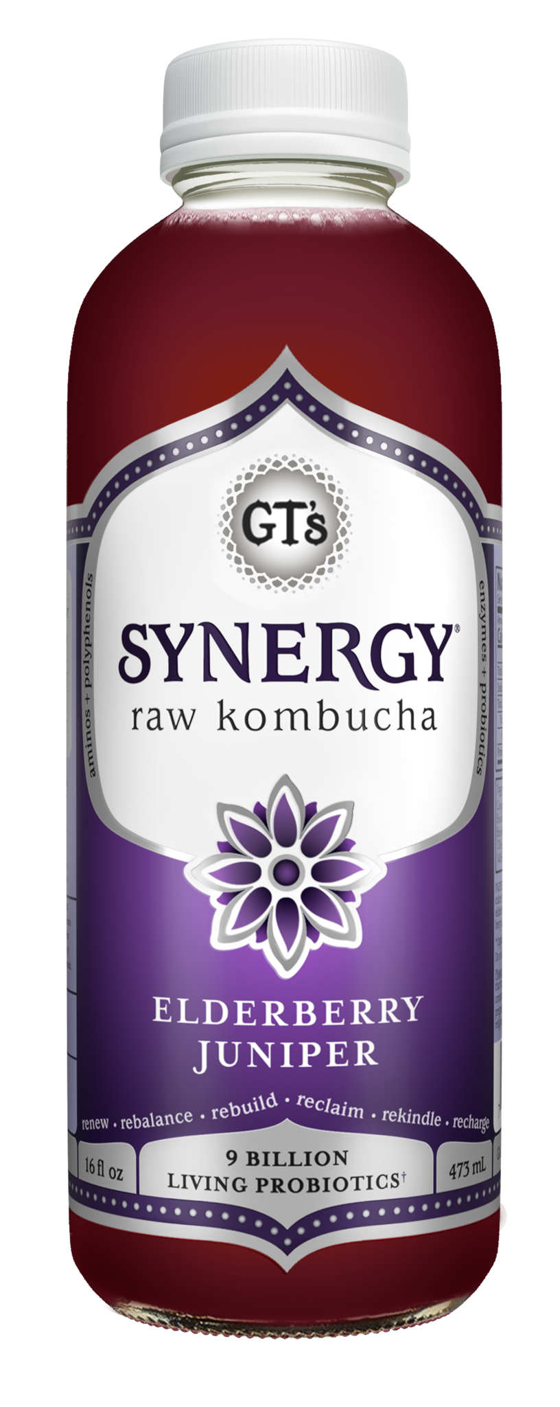 SYNERGY, Kombucha Raw, Elderberry Juniper