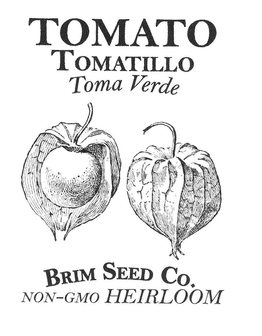 Tomato, Tomatillo Verde, Heirloom Seed