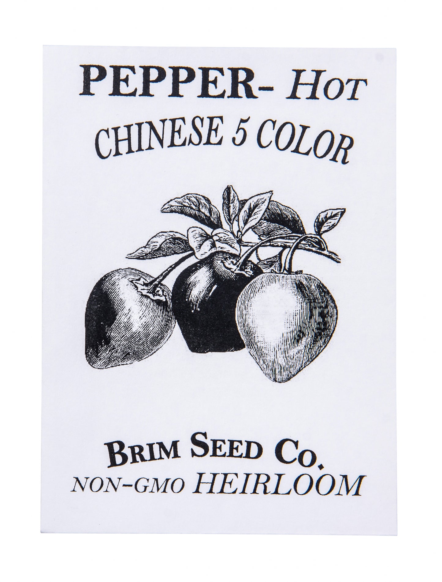 Pepper, Hot Chinese 5 Color Heirloom Seed